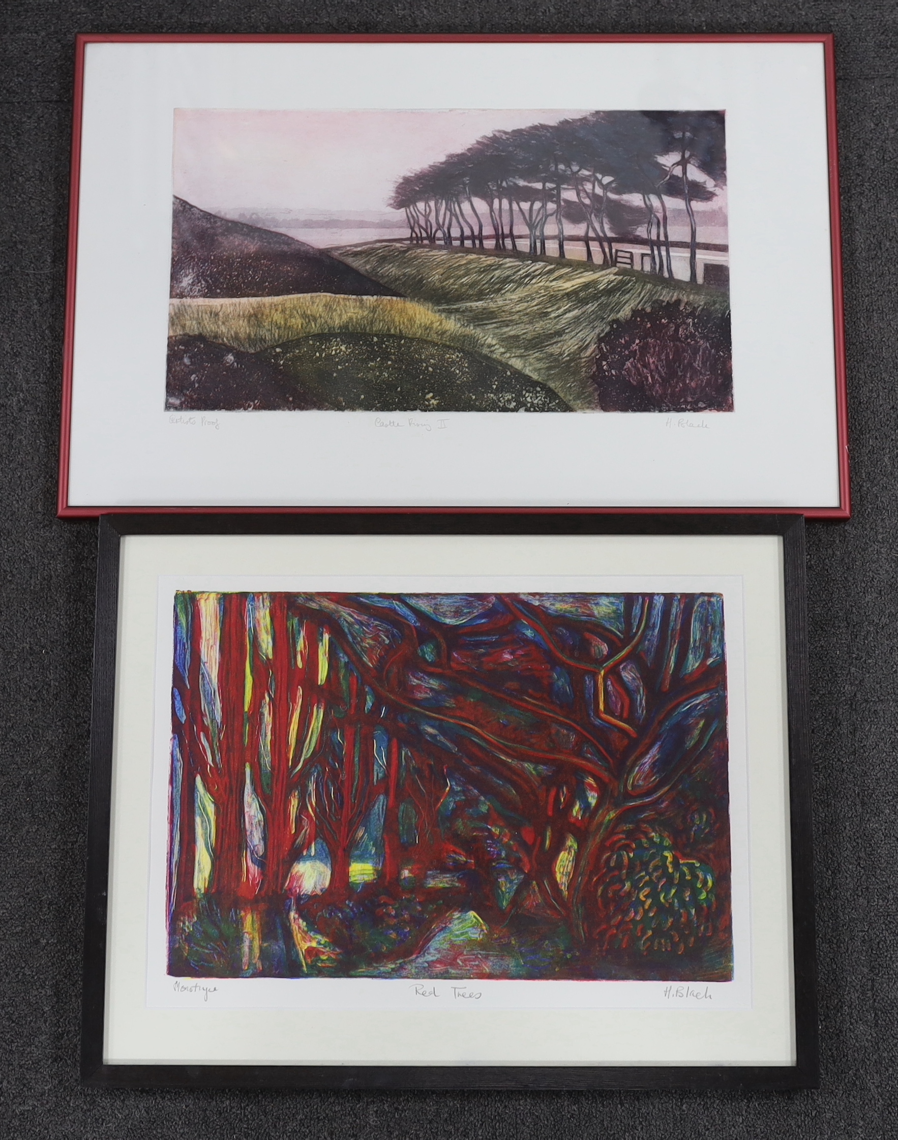 H. Black, two colour etchings, ‘Red Trees’ and ‘Castle Rising’, each signed in pencil, one artist proof, largest 58 x 37cm